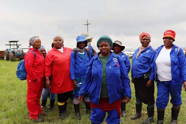 Kwacele-workers-employees-at-wellness-day-10